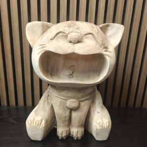 Lachende kat groot