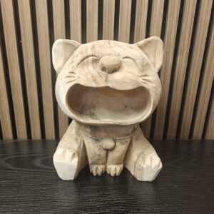 Lachende kat klein
