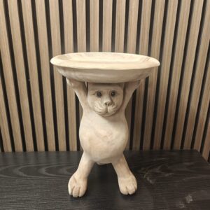 Kat met plateau